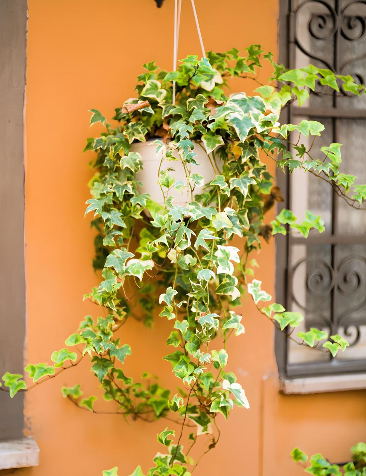 The Best Nest روما المظهر الخارجي الصورة